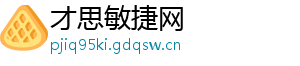 才思敏捷网
